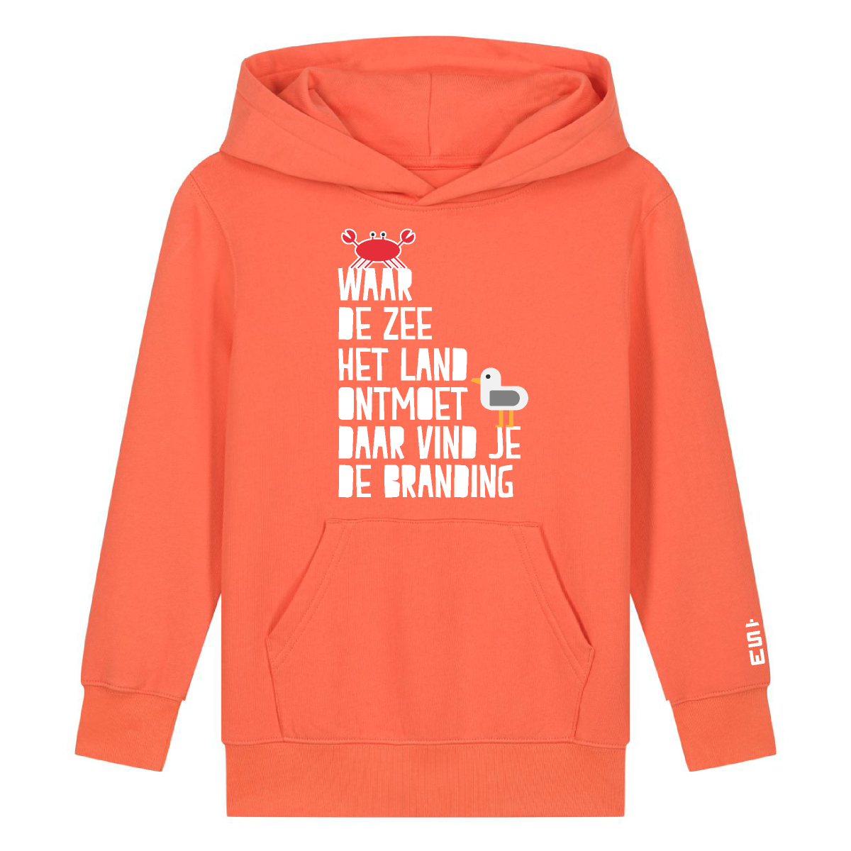 Branding Hoodie Fiesta